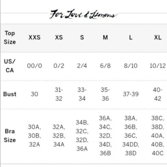 FOR LOVE & lemons Gracie lace slip NWT - Picture 7 of 8